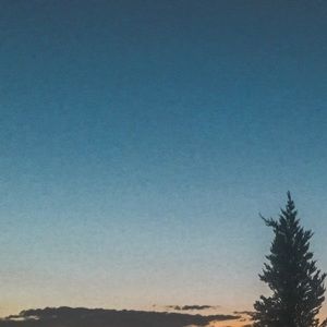 Meet your Posher, Faith